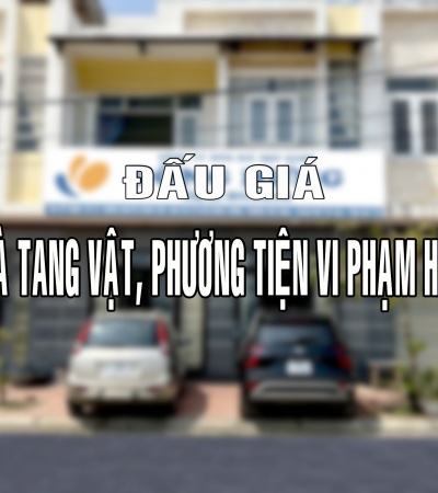 Đấu giá tài sản là tang vật, phương tiện vi phạm hành chính bị tịch thu sung quỹ nhà nước